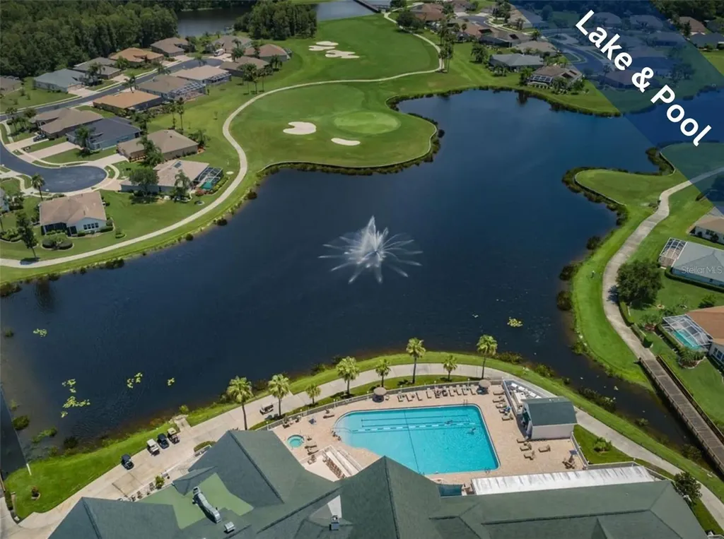 1032 Dustan Place Trinity FL 34655