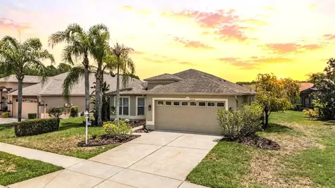 1032 Dustan Place Trinity FL 34655