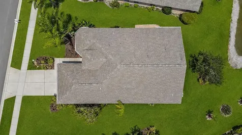 1032 Dustan Place Trinity FL 34655