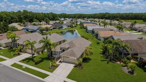 1032 Dustan Place Trinity FL 34655