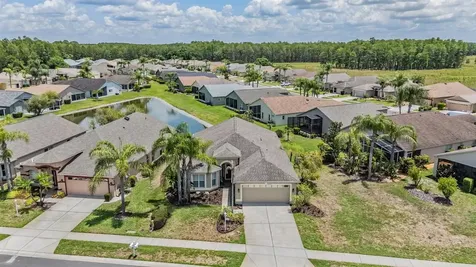 1032 Dustan Place Trinity FL 34655