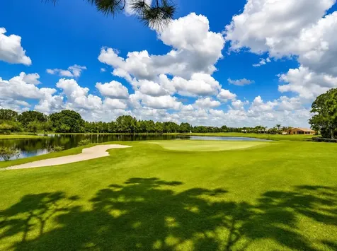 1032 Dustan Place Trinity FL 34655