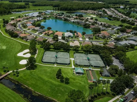 1032 Dustan Place Trinity FL 34655