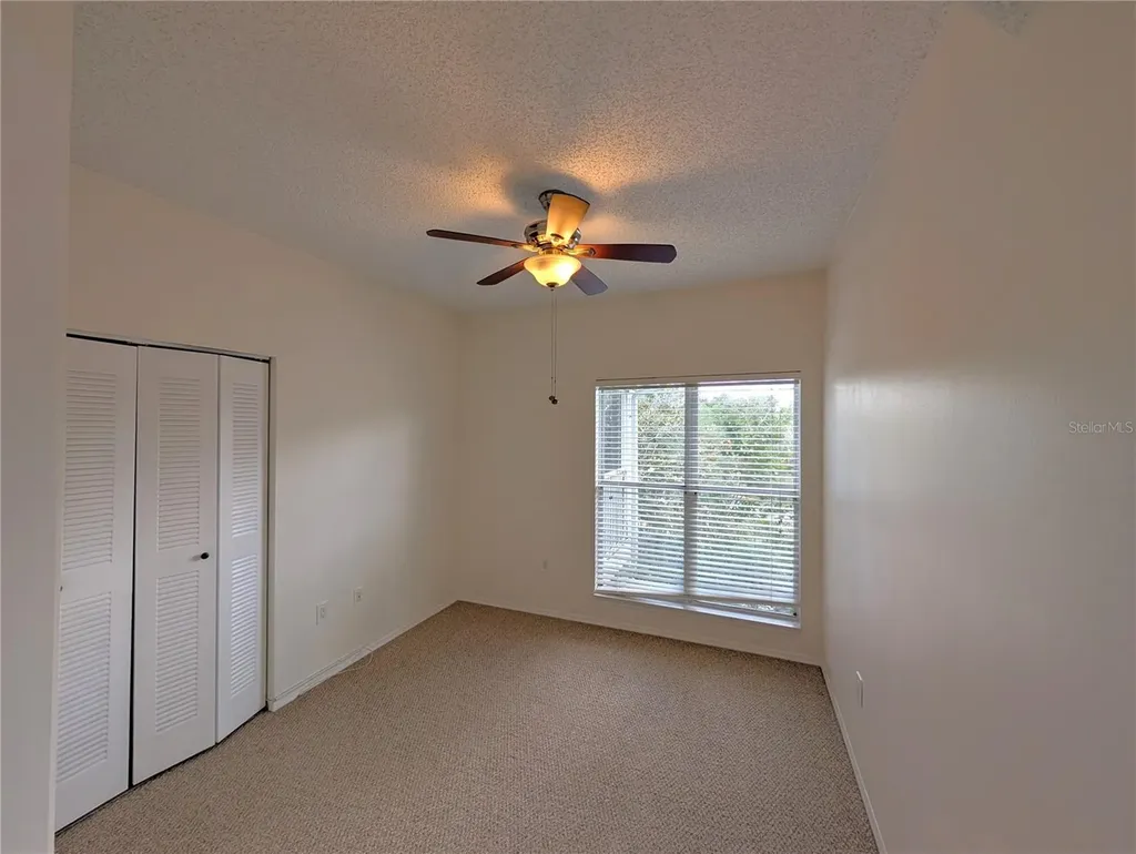 4211 Chatham Oak Court Tampa FL 33624