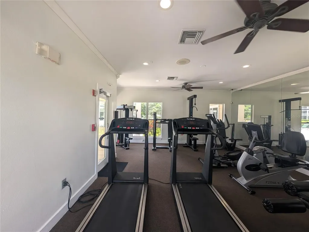 4211 Chatham Oak Court Tampa FL 33624