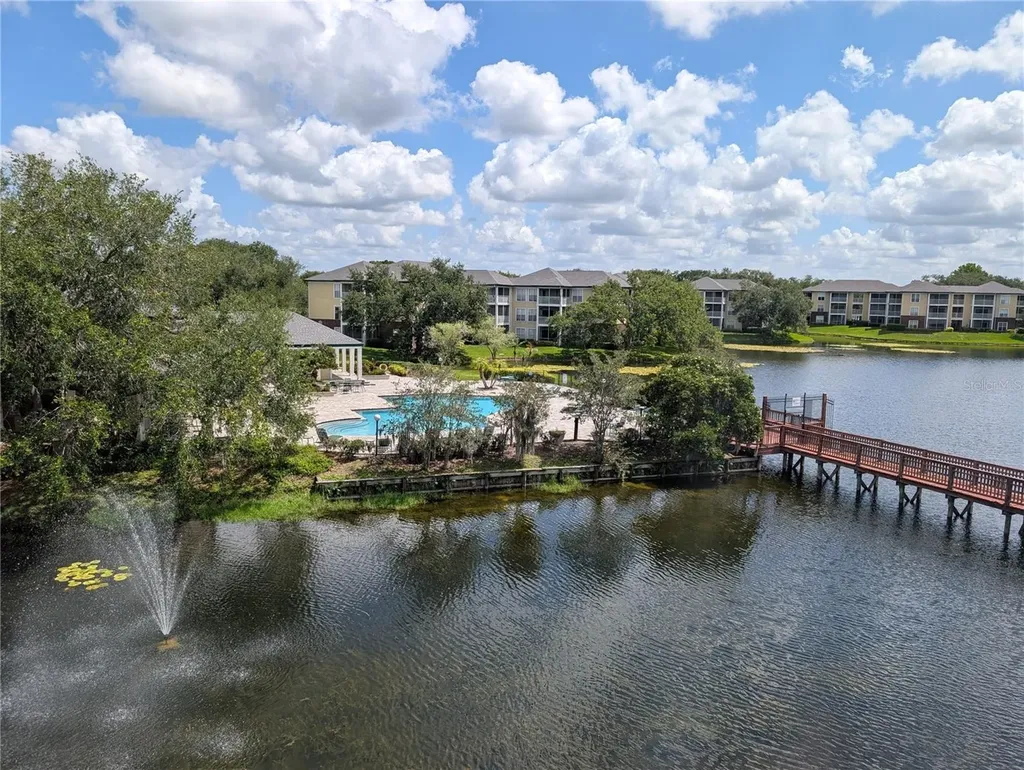 4211 Chatham Oak Court Tampa FL 33624