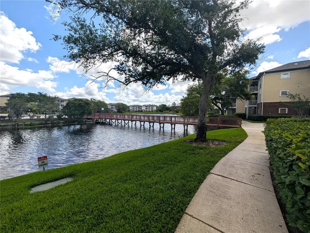 4211 Chatham Oak Court Tampa FL 33624