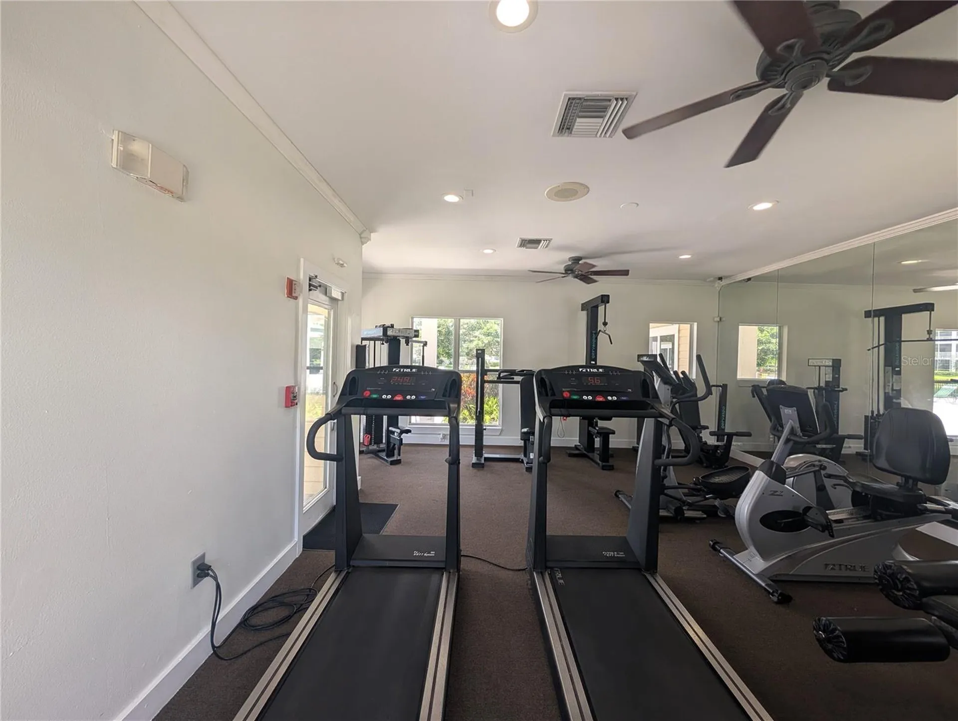 4211 Chatham Oak Court Tampa FL 33624