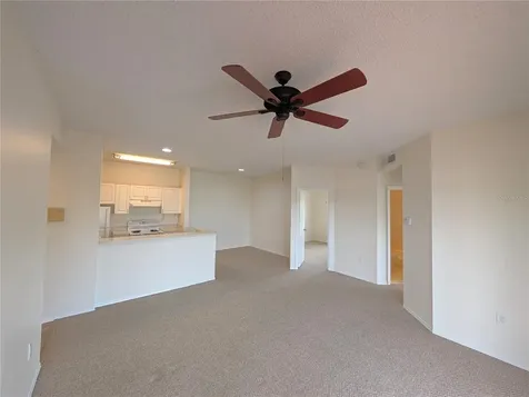 4211 Chatham Oak Court Tampa FL 33624