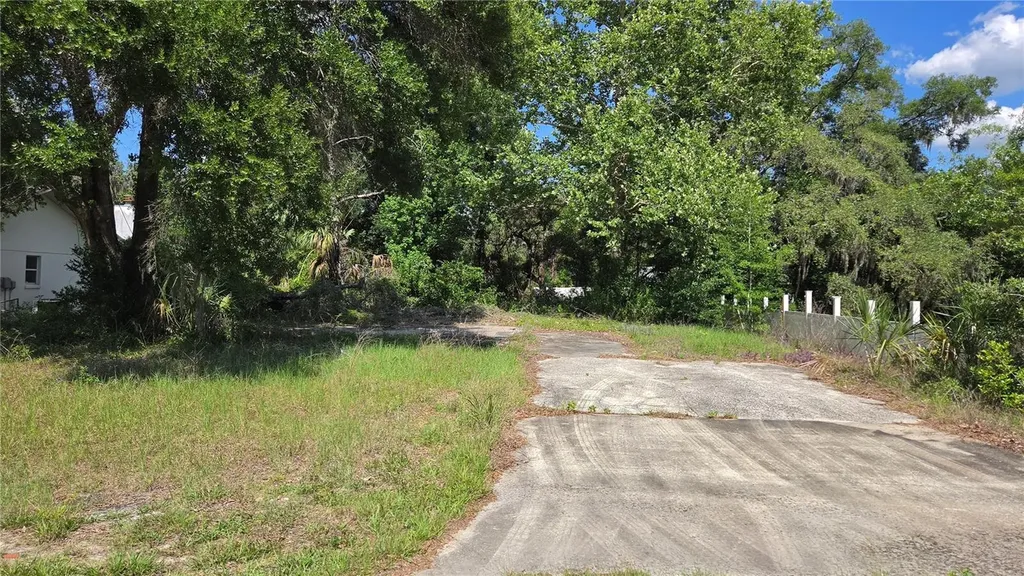 1195 N Haggerty Point Crystal River FL 34429