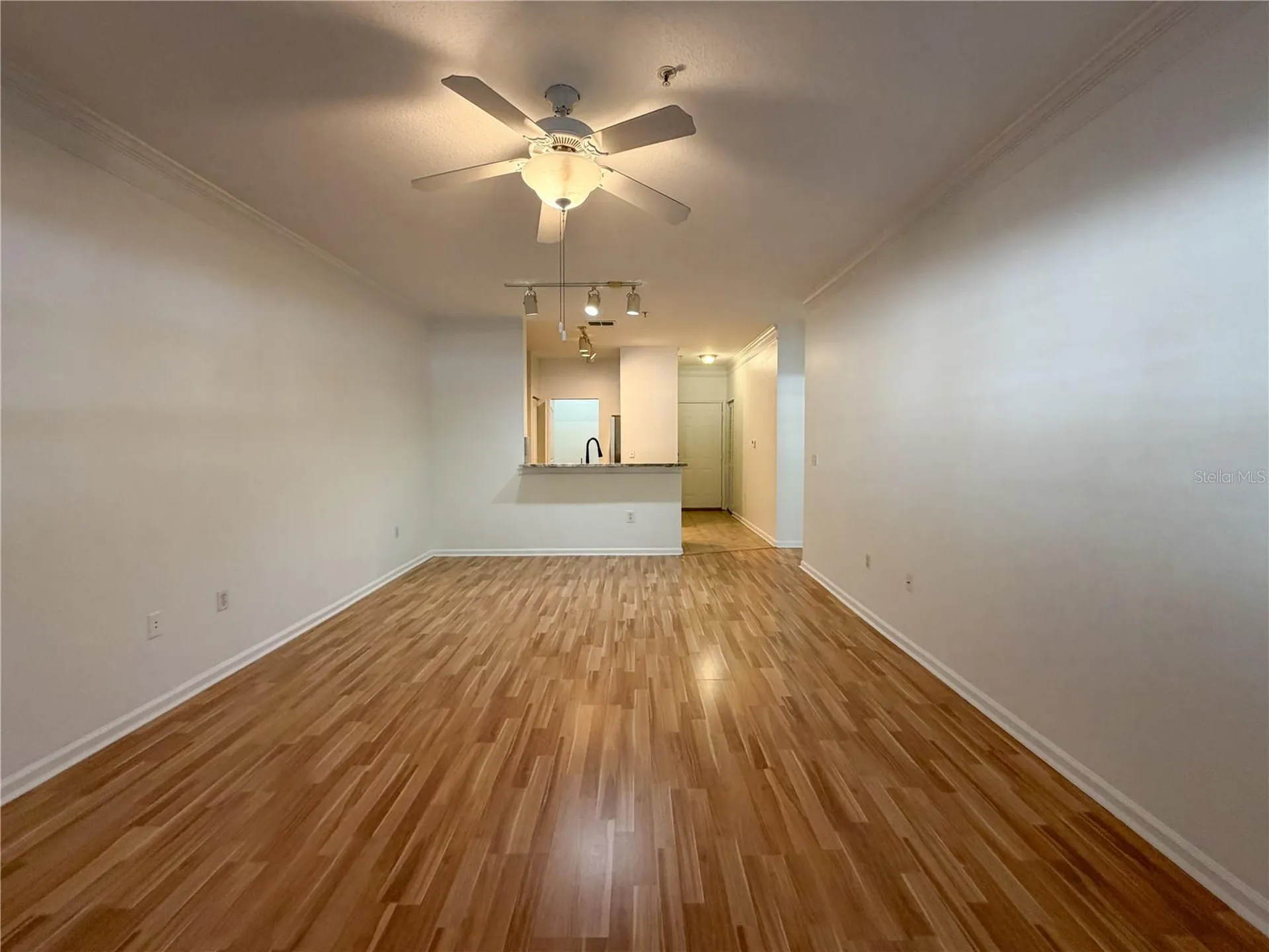 4207 S Dale Mabry Highway Tampa FL 33611