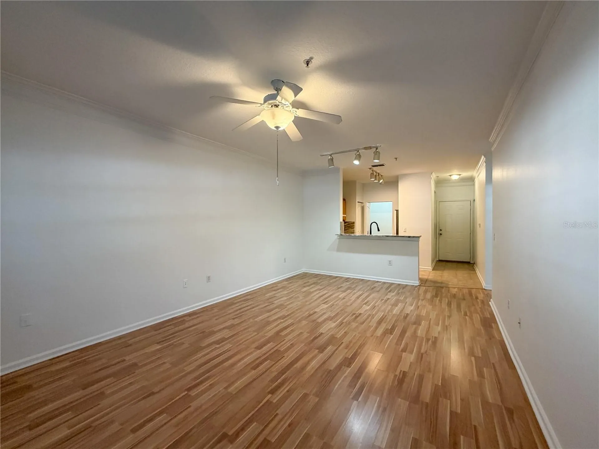 4207 S Dale Mabry Highway Tampa FL 33611