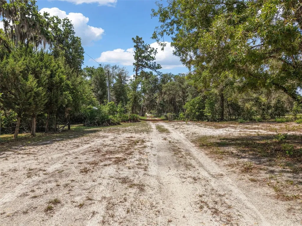 704 SE 791st Street Old Town FL 32680