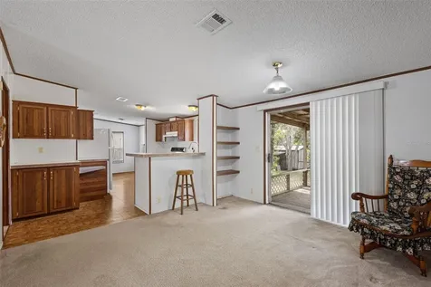 704 SE 791st Street Old Town FL 32680