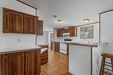 704 SE 791st Street Old Town FL 32680