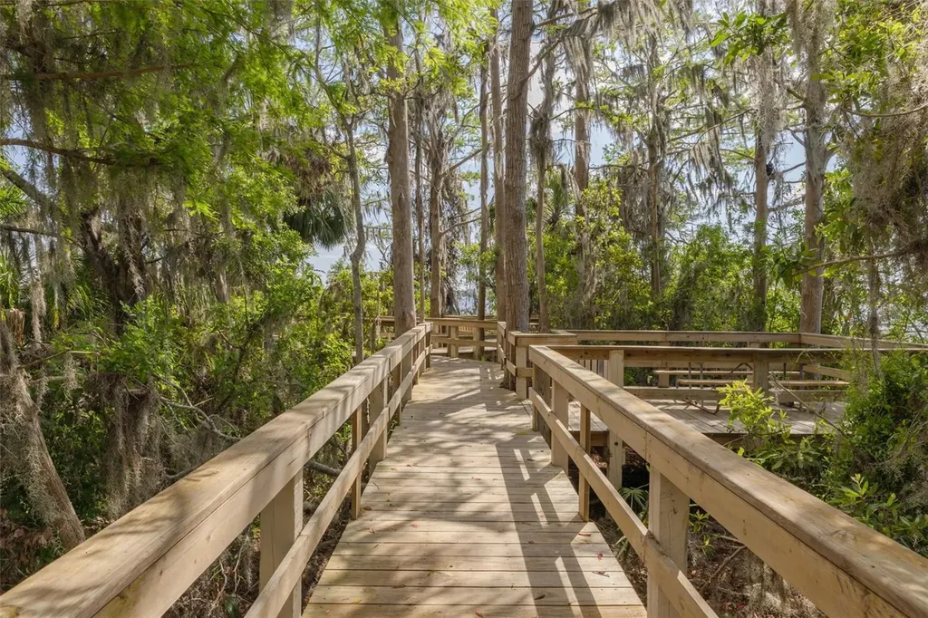 4226 Preserve Place Palm Harbor FL 34685