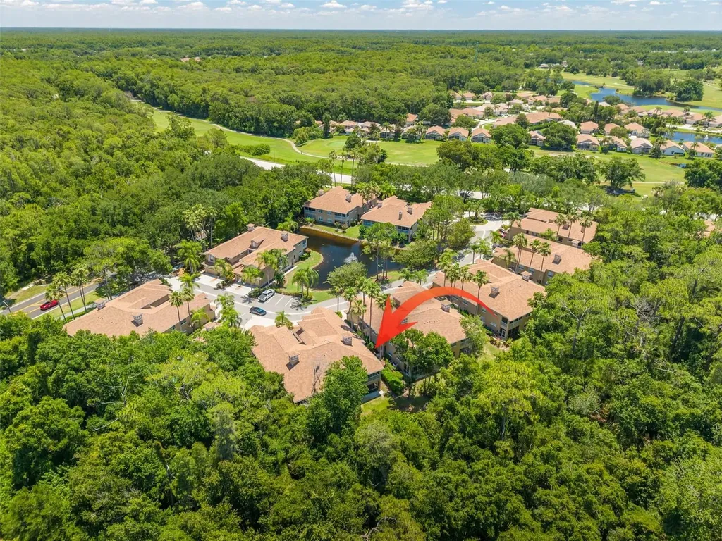 4226 Preserve Place Palm Harbor FL 34685