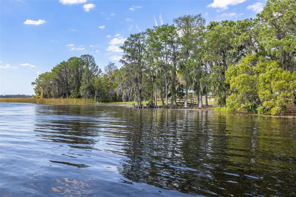 4226 Preserve Place Palm Harbor FL 34685