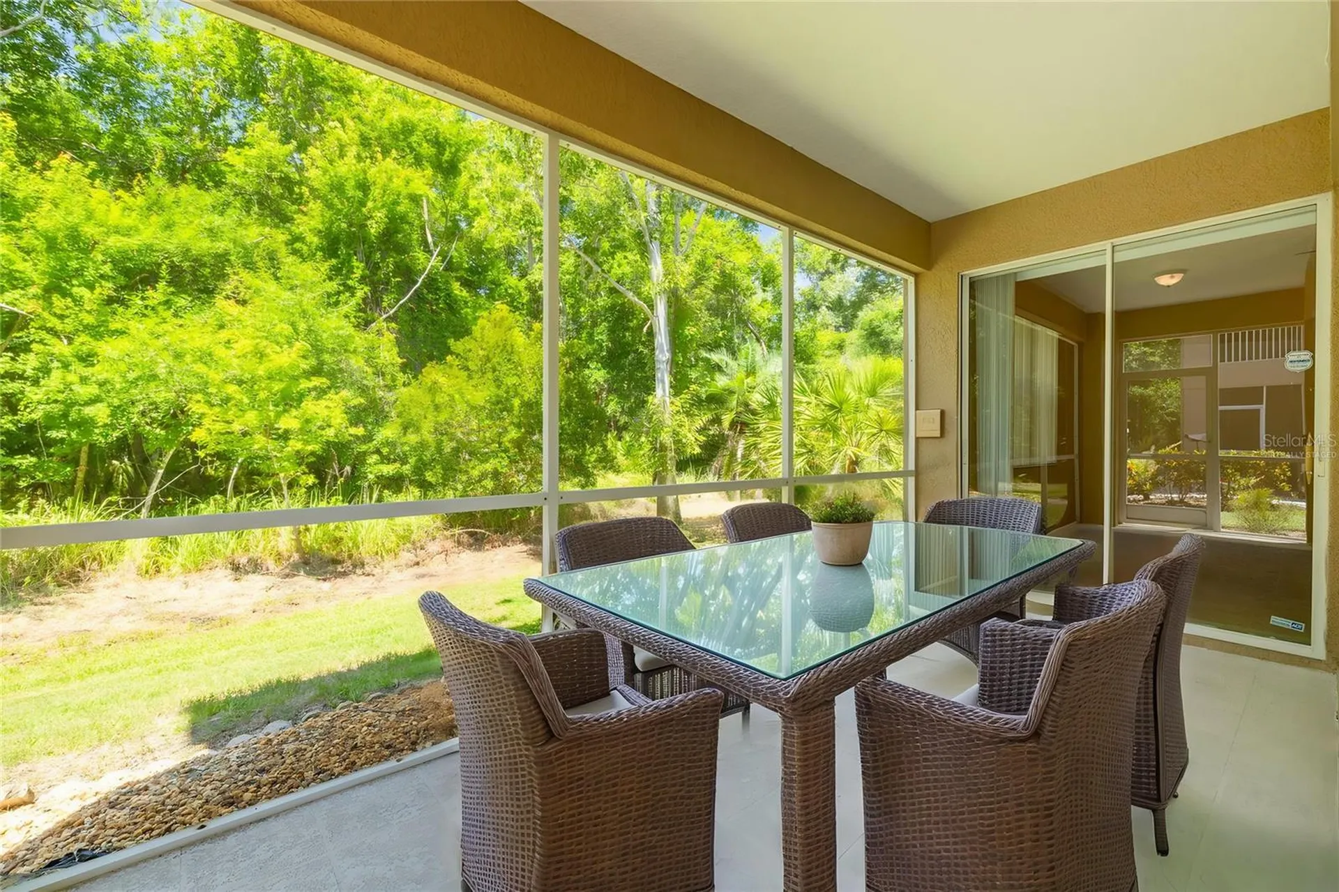 4226 Preserve Place Palm Harbor FL 34685