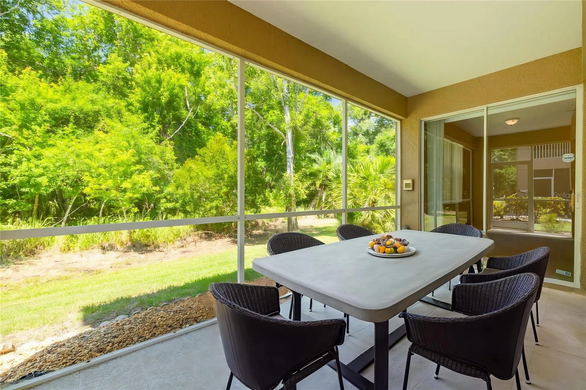 4226 Preserve Place Palm Harbor FL 34685