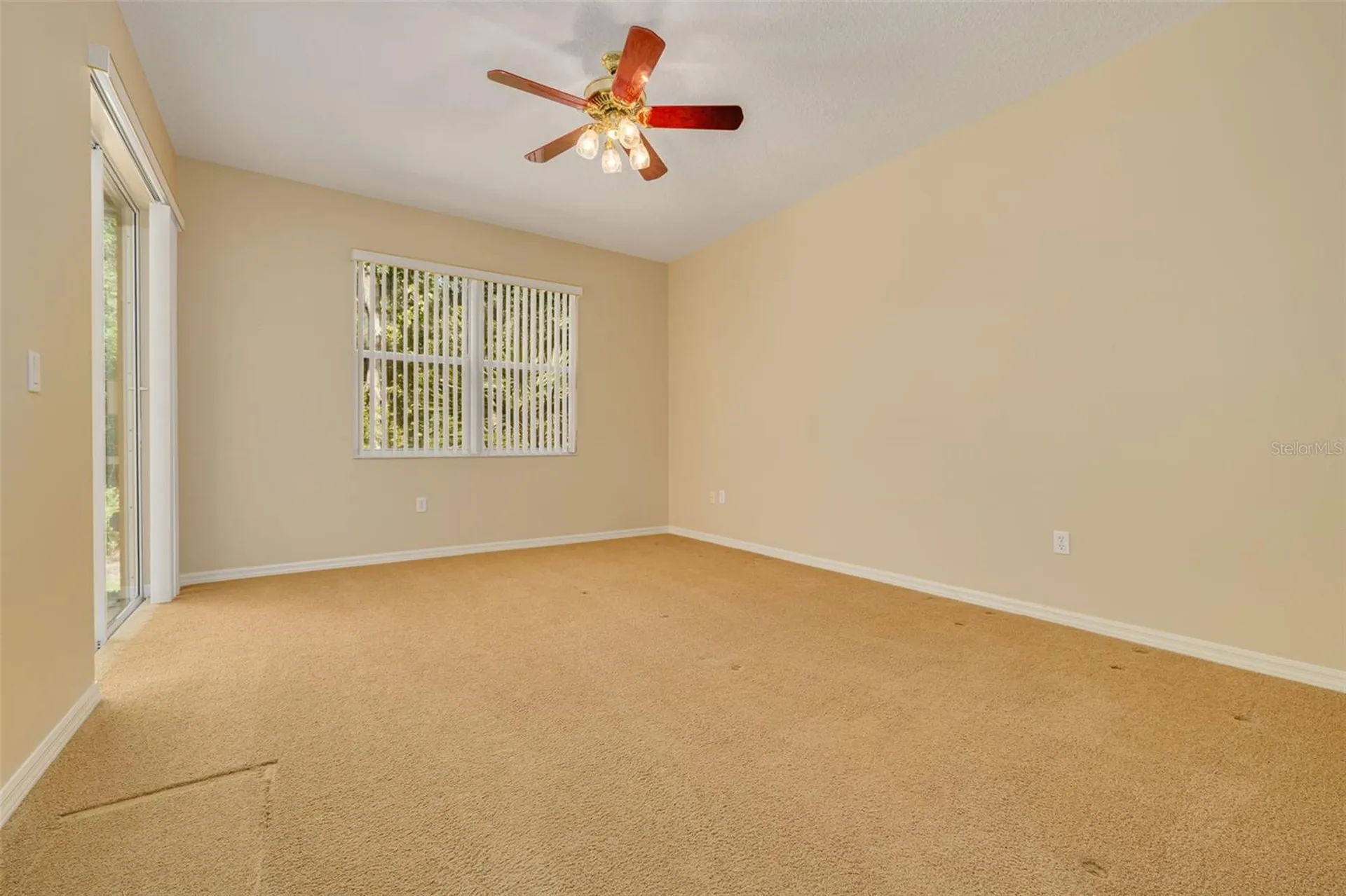 4226 Preserve Place Palm Harbor FL 34685