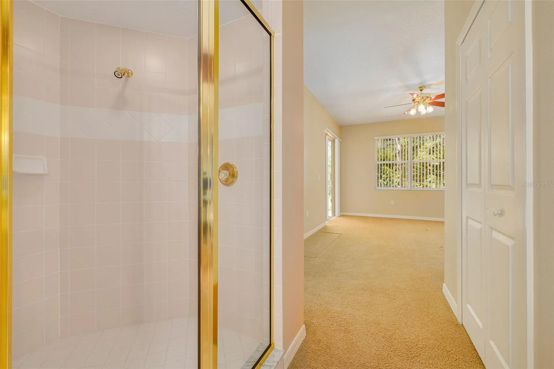 4226 Preserve Place Palm Harbor FL 34685