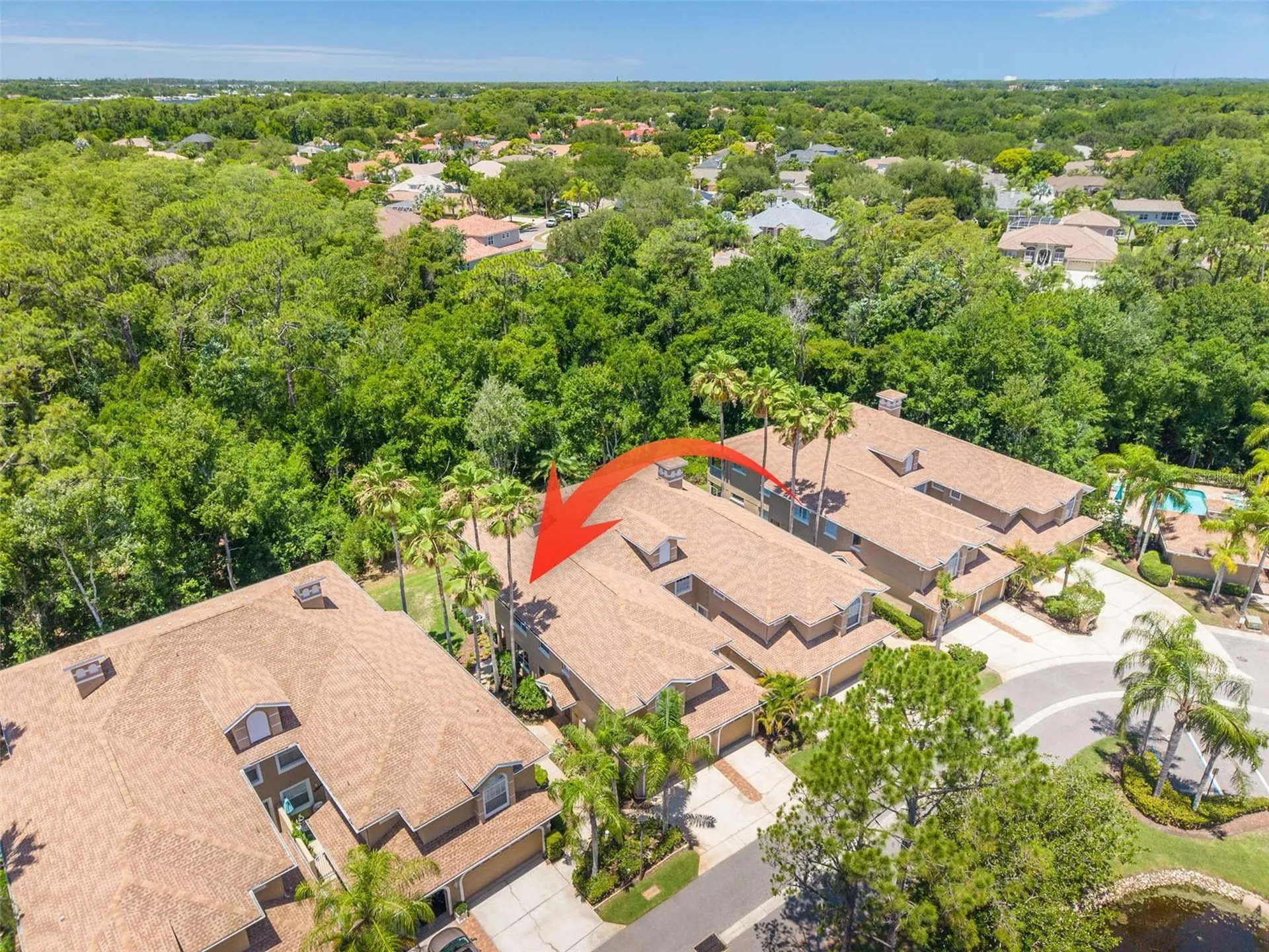 4226 Preserve Place Palm Harbor FL 34685