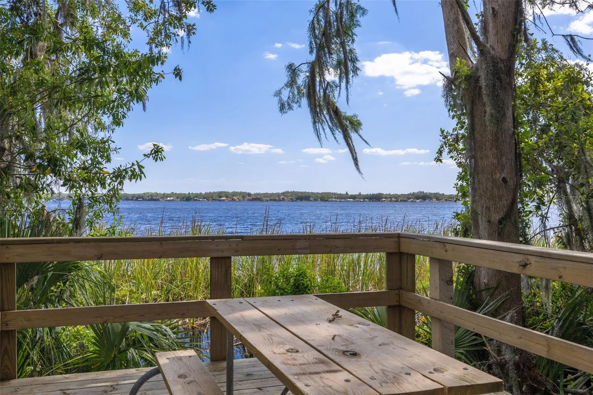 4226 Preserve Place Palm Harbor FL 34685