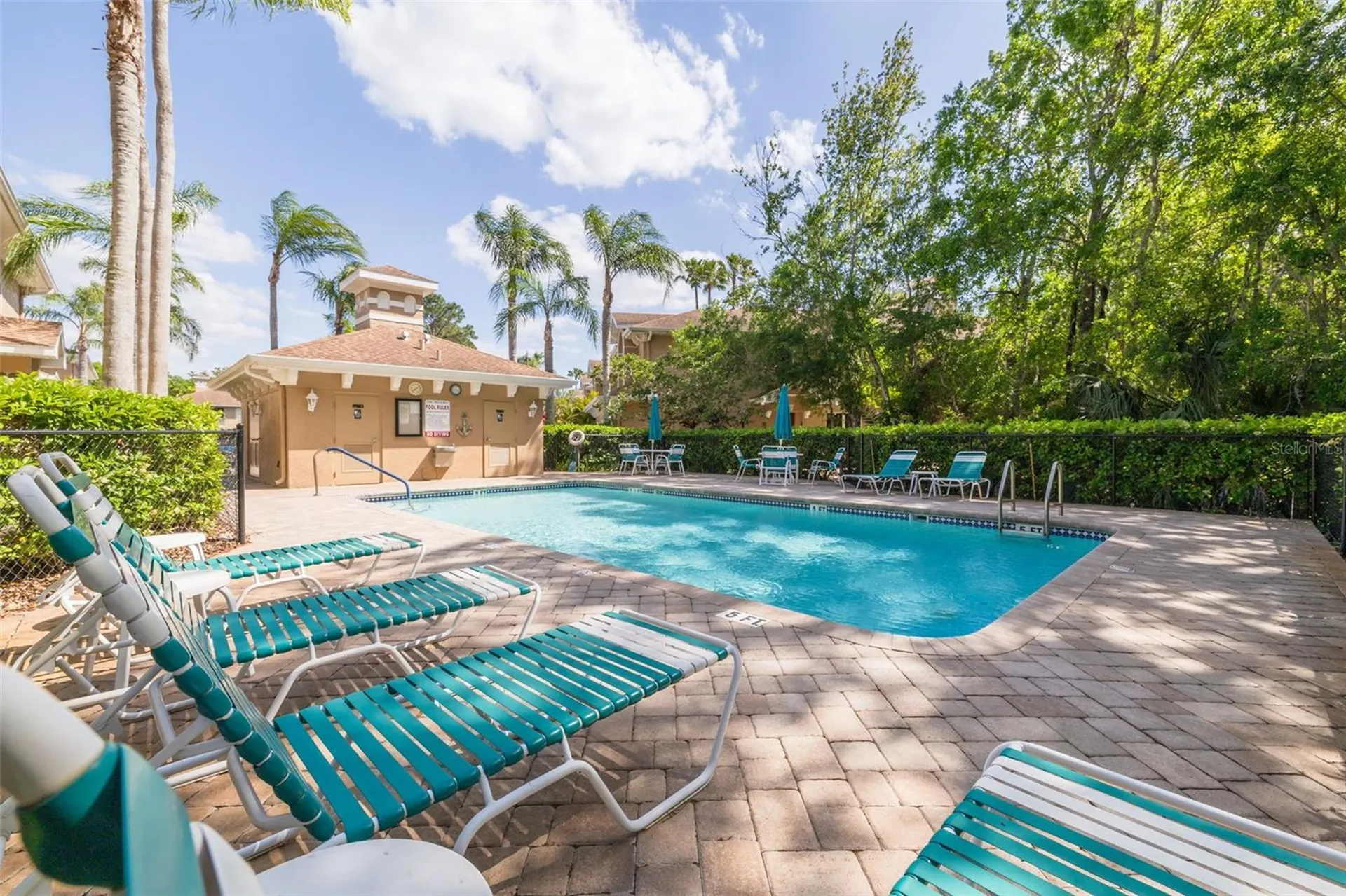 4226 Preserve Place Palm Harbor FL 34685