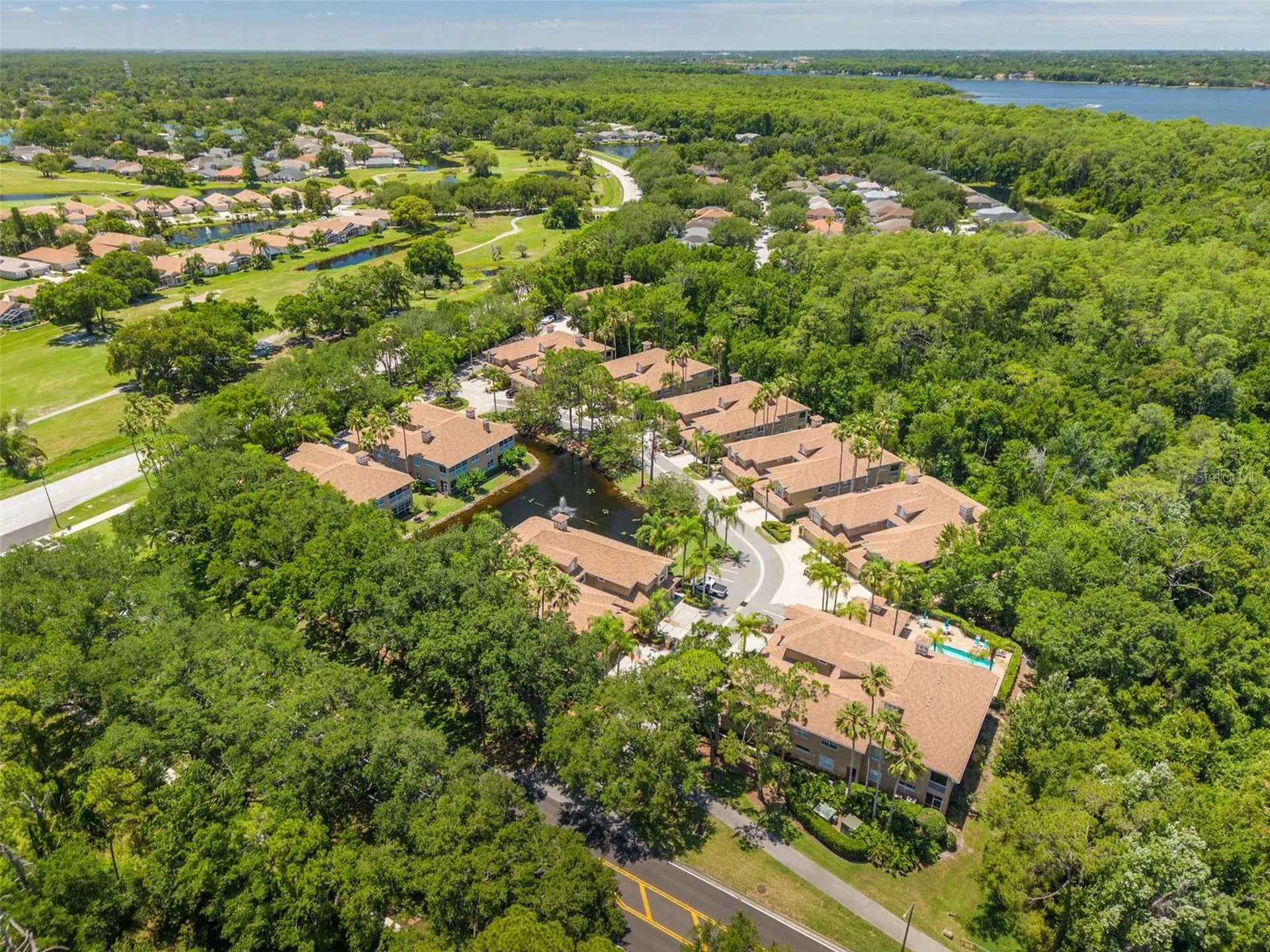 4226 Preserve Place Palm Harbor FL 34685