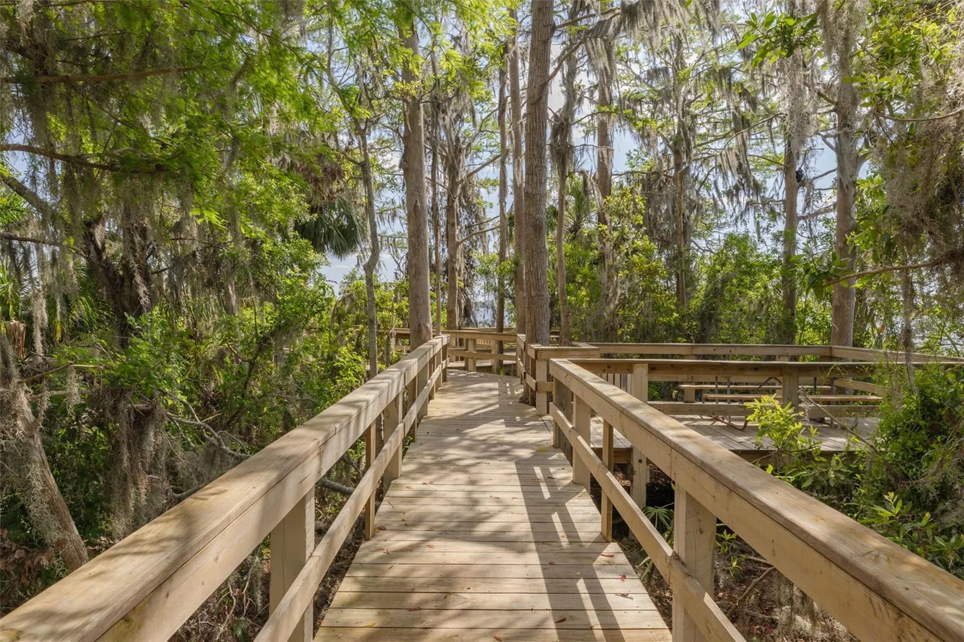 4226 Preserve Place Palm Harbor FL 34685