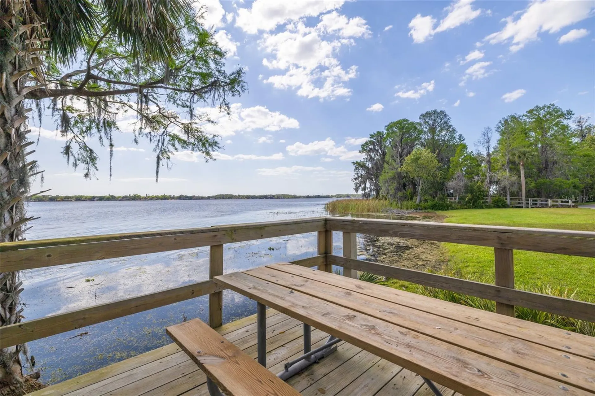 4226 Preserve Place Palm Harbor FL 34685