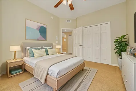 4226 Preserve Place Palm Harbor FL 34685