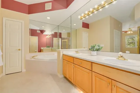 4226 Preserve Place Palm Harbor FL 34685