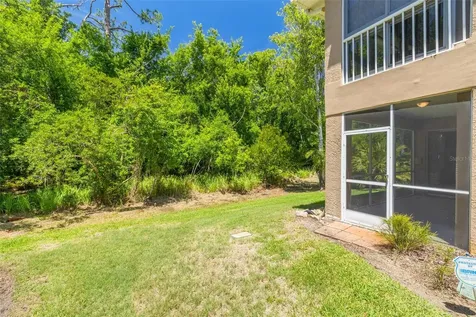 4226 Preserve Place Palm Harbor FL 34685
