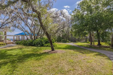 4226 Preserve Place Palm Harbor FL 34685