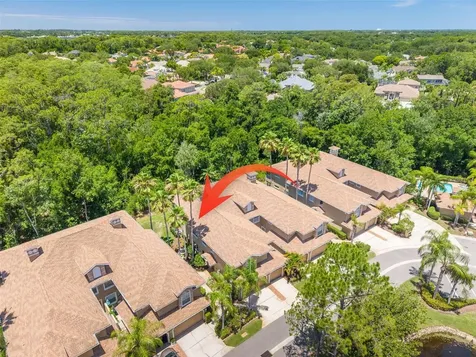4226 Preserve Place Palm Harbor FL 34685