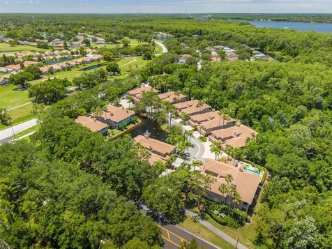 4226 Preserve Place Palm Harbor FL 34685