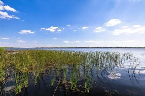 4226 Preserve Place Palm Harbor FL 34685