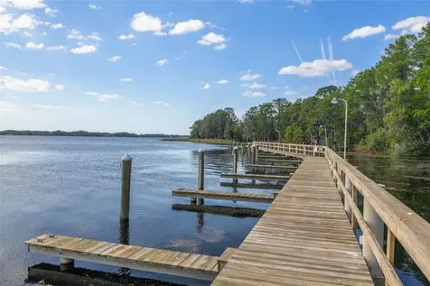 4226 Preserve Place Palm Harbor FL 34685