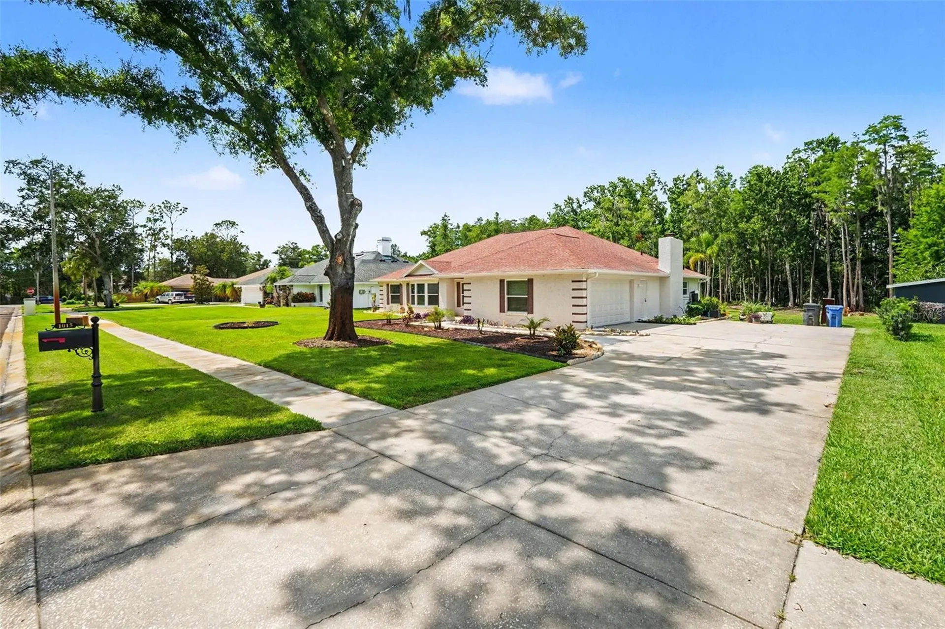 1015 Hastings Court Lutz FL 33548