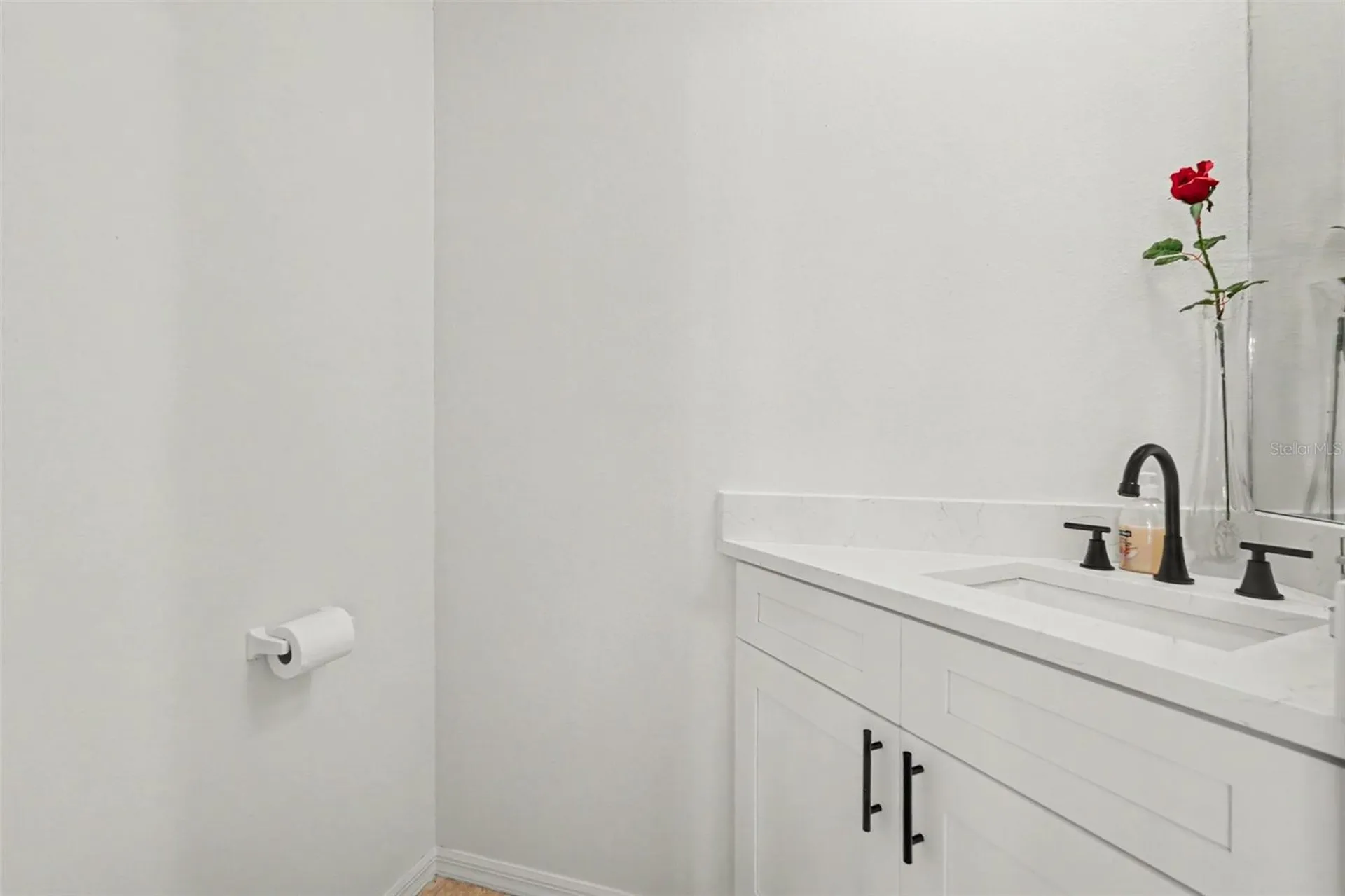 1015 Hastings Court Lutz FL 33548
