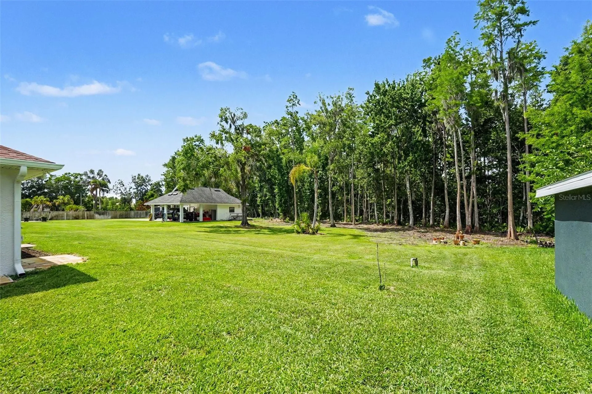 1015 Hastings Court Lutz FL 33548