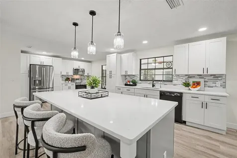 1015 Hastings Court Lutz FL 33548