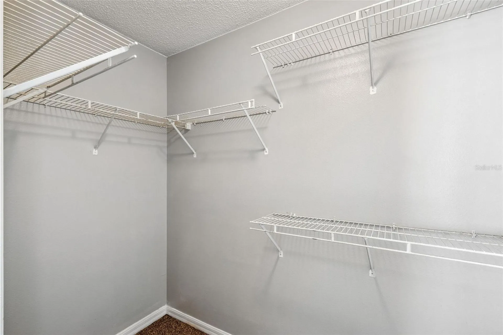 5235 Florida Holly Drive Orlando FL 32811