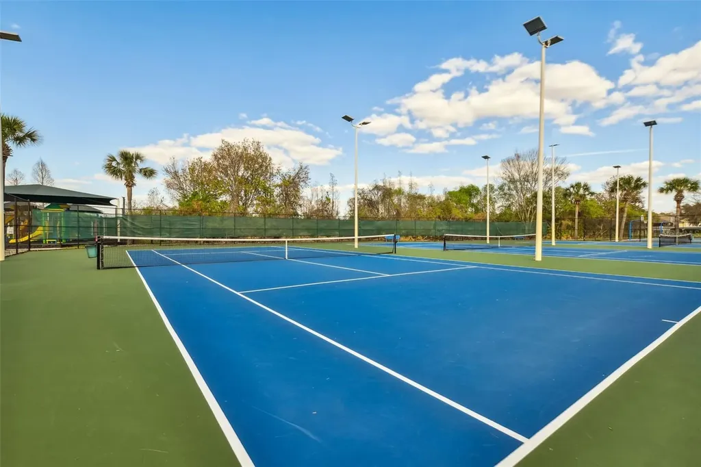 1330 Standridge Drive Wesley Chapel FL 33543