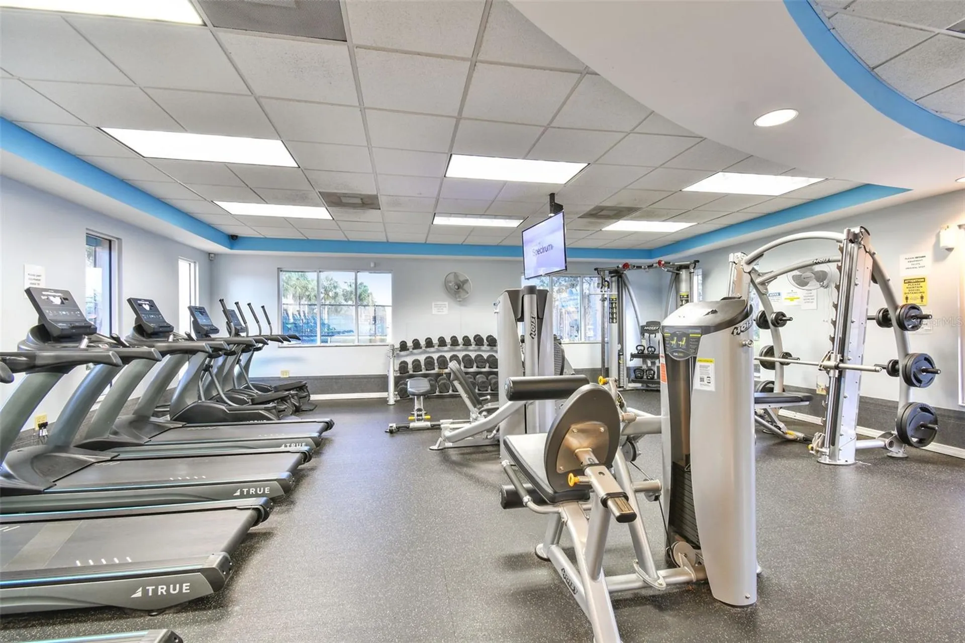 1330 Standridge Drive Wesley Chapel FL 33543