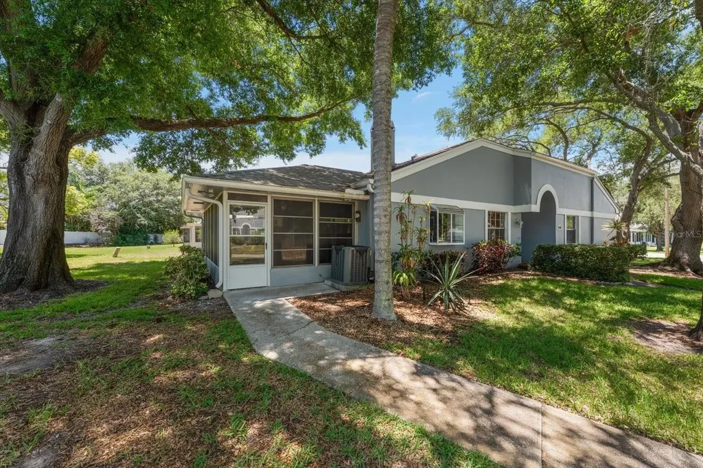 1334 Wickford Street Safety Harbor FL 34695