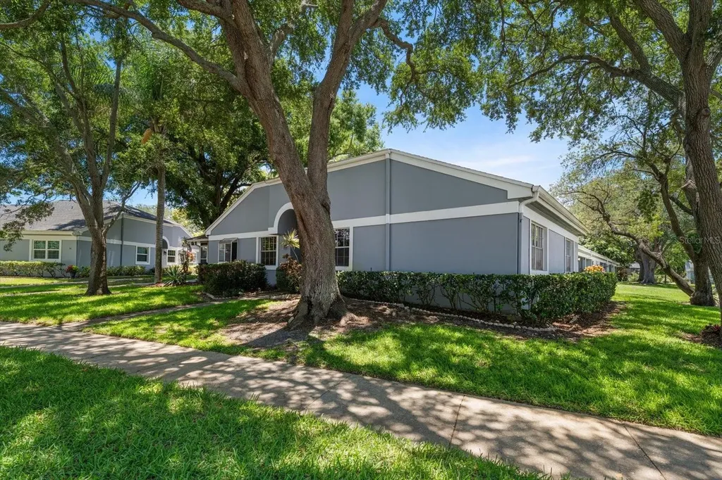 1334 Wickford Street Safety Harbor FL 34695
