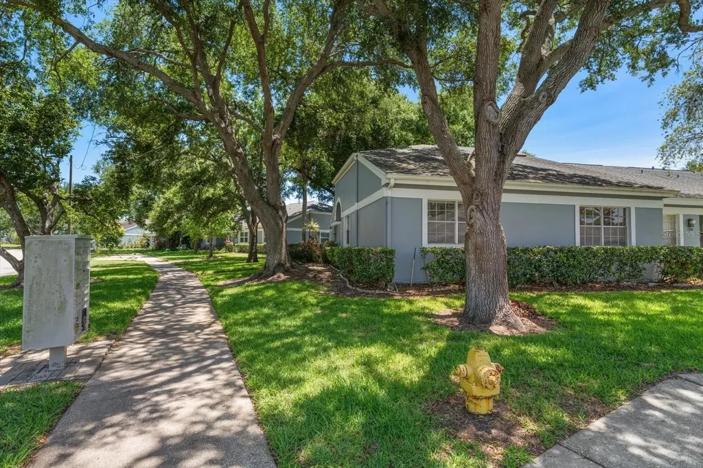 1334 Wickford Street Safety Harbor FL 34695